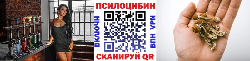 OMG зеркало  Хадыженск  Псилоцибиновые грибы Psilocybine cubensis 